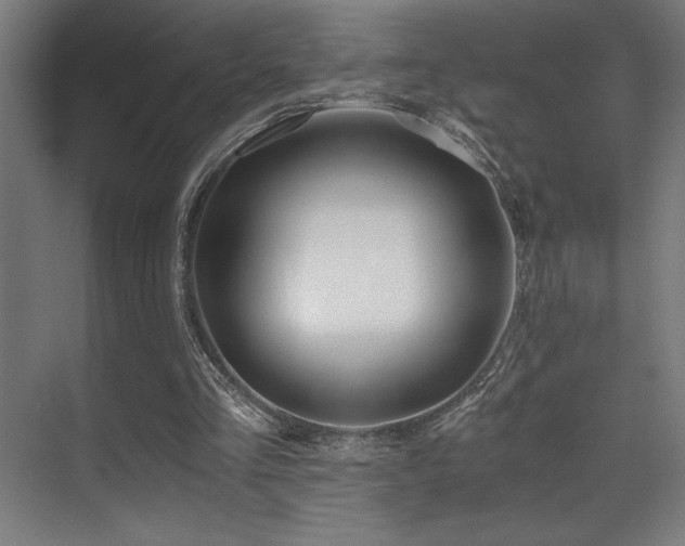 X0000071350293200606231211