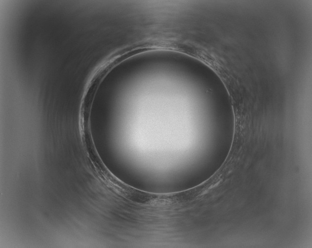 X0000071350294200606231211
