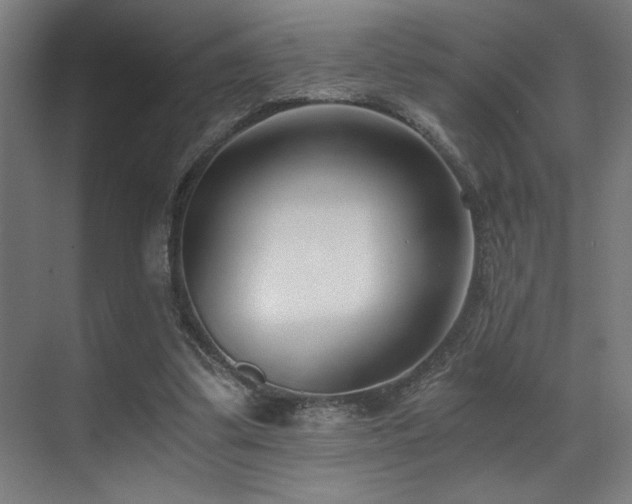 X0000071350299200606231211