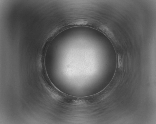 X0000071350300200606231211