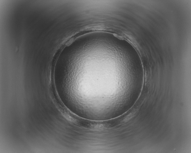 X0000071350301200606231211