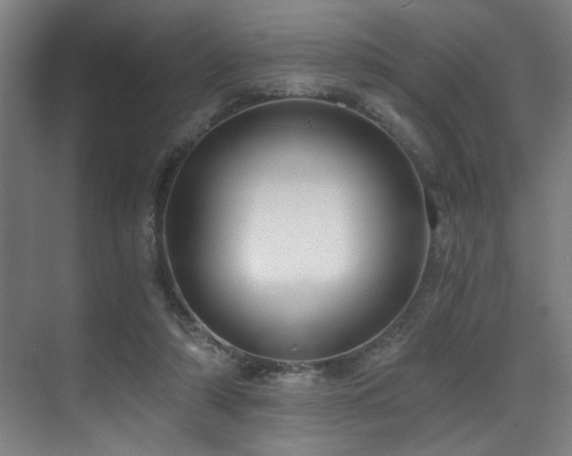 X0000071350306200606231211