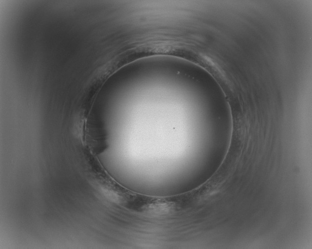 X0000071350307200606231211