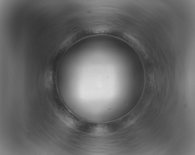 X0000071350308200606231211