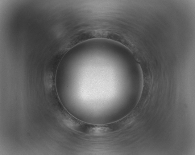 X0000071350323200606231211