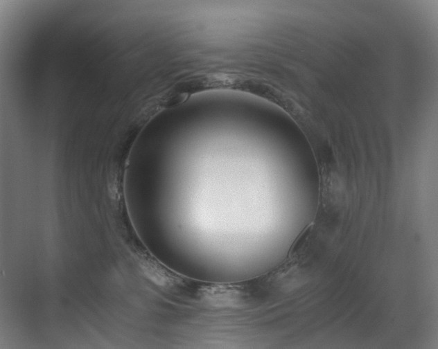 X0000071350331200606231211