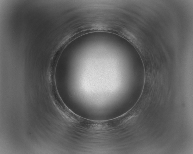 X0000071350347200606231210
