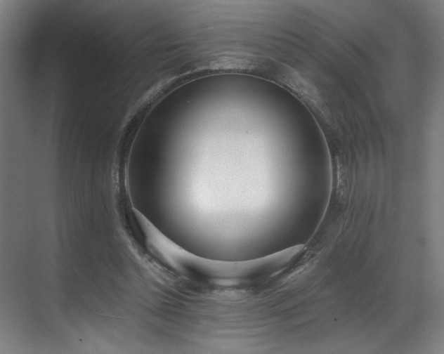 X0000071350348200606231210