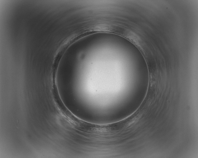 X0000071350349200606231210