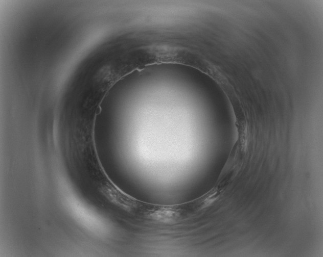 X0000071350383200606231210
