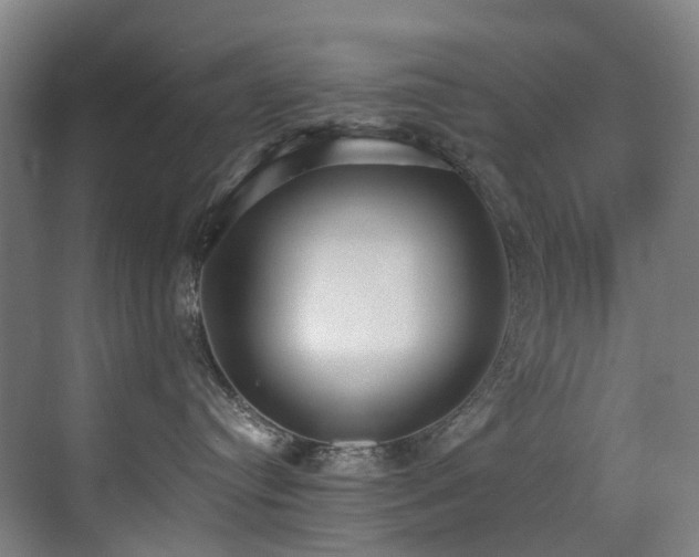 X0000071350384200606231210