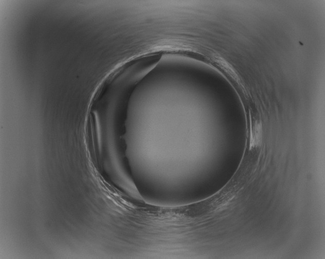 X0000071350387200606231210