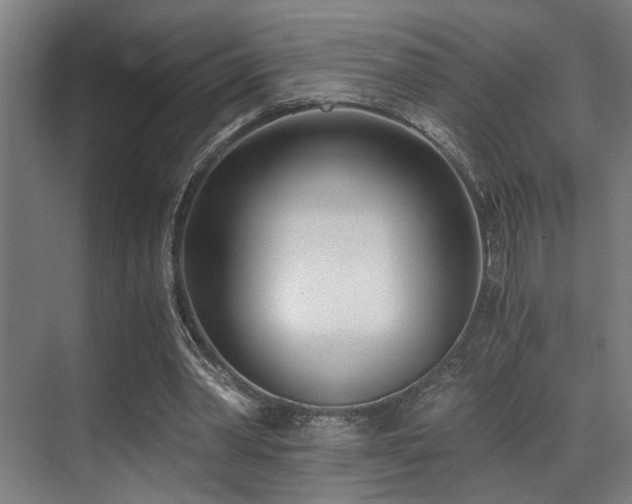 X0000071350390200606231210