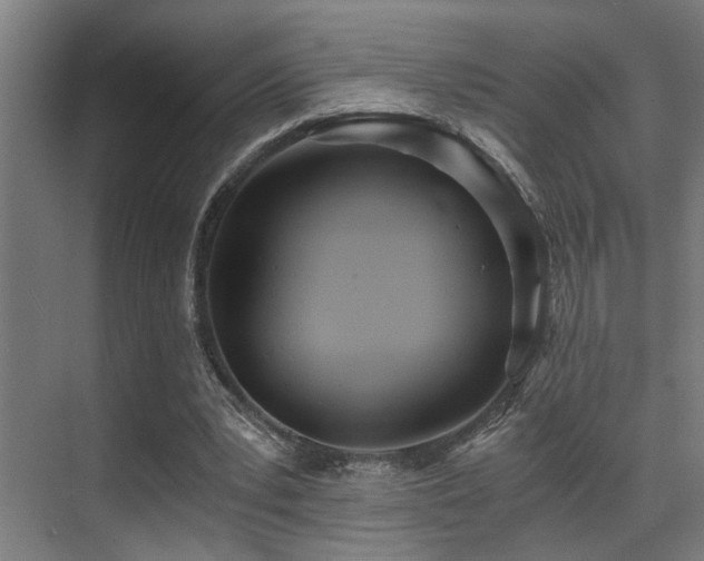 X0000071350391200606231209