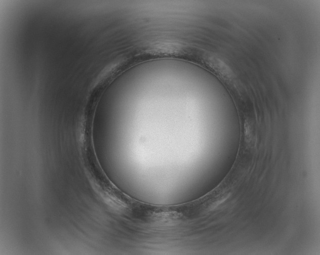 X0000071350396200606231209