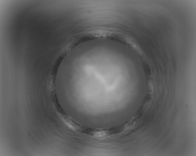 X0000071350411200606231209
