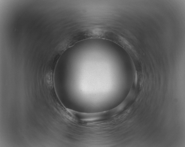 X0000071350425200606231209