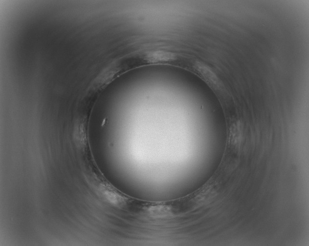 X0000071350426200606231209