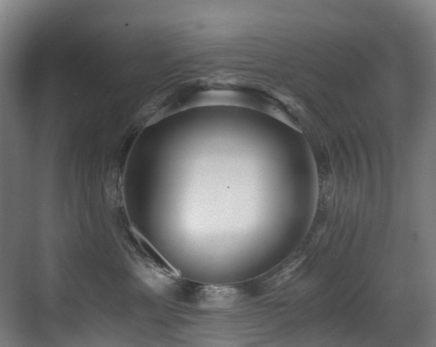 X0000071350429200606231209