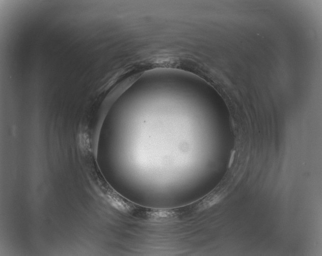 X0000071350432200606231209