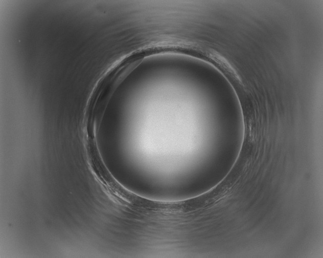 X0000071350436200606231208