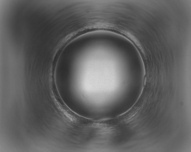 X0000071350437200606231208