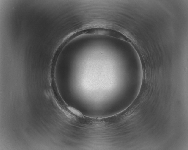 X0000071350438200606231208
