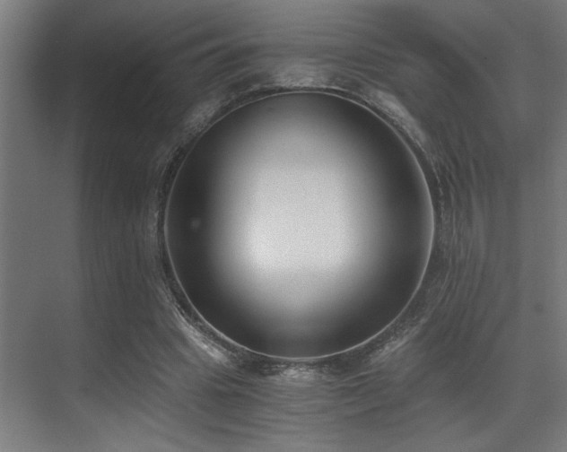 X0000071350441200606231208