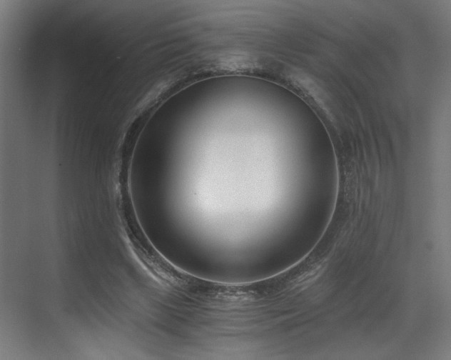 X0000071350443200606231208