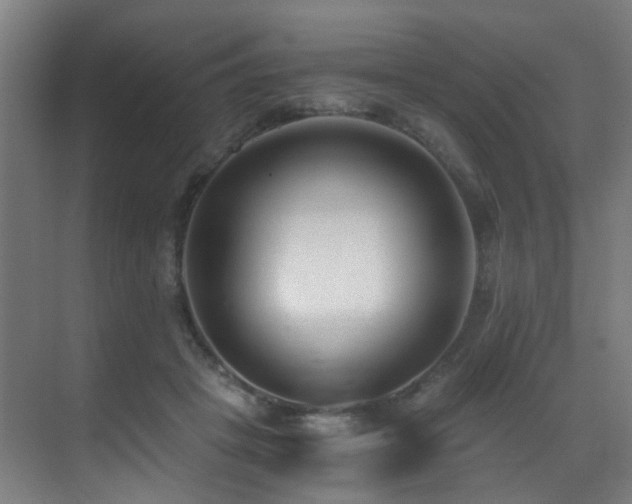 X0000071350457200606231208