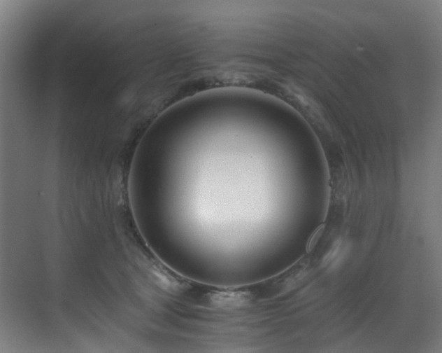 X0000071350465200606231209