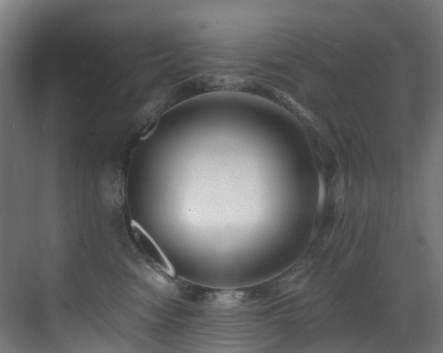 X0000071350474200606231209