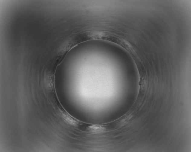 X0000071350477200606231209
