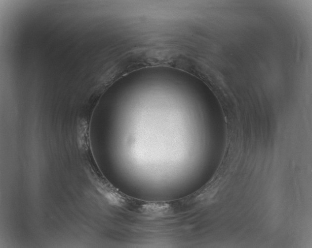 X0000071350480200606231209