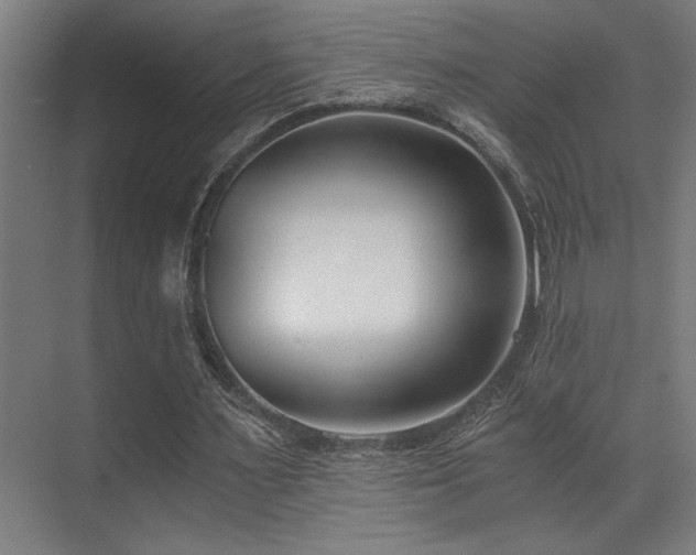 X0000071350483200606231208
