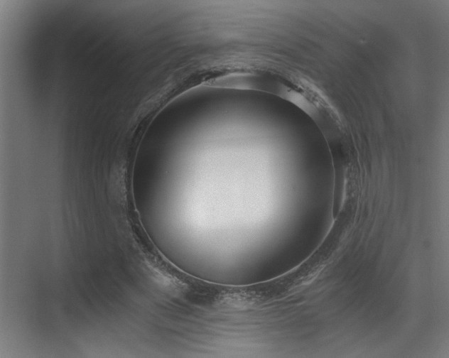 X0000071350489200606231208