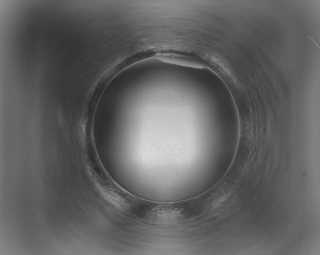 X0000071350491200606231208