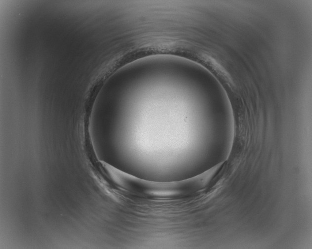 X0000071350493200606231208