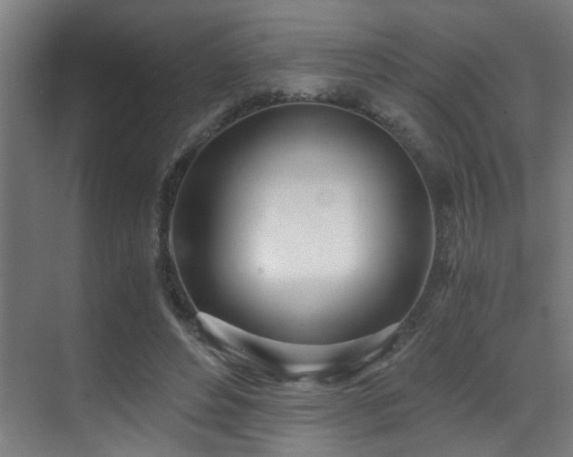 X0000071350496200606231208