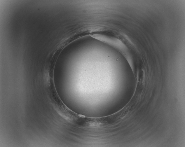 X0000071350500200606231208