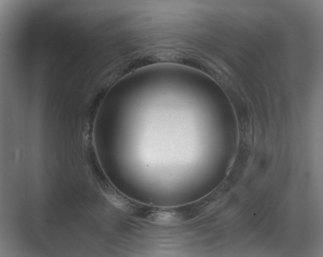 X0000071350507200606231208