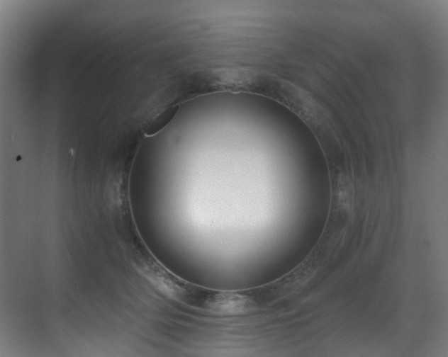 X0000071350514200606231207