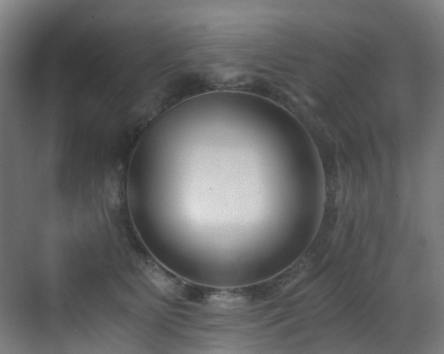 X0000071350515200606231207