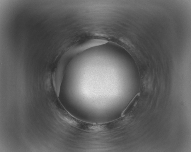 X0000071350516200606231207
