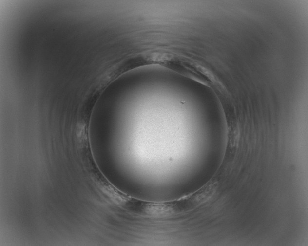 X0000071350521200606231207