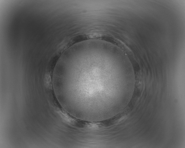 X0000071350523200606231207