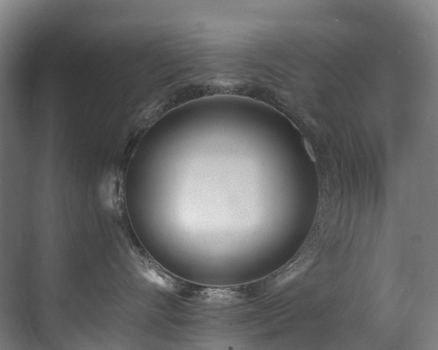 X0000071350528200606231207