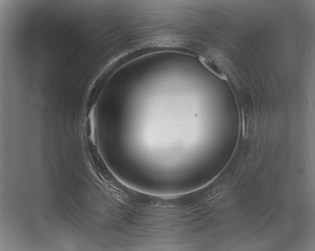 X0000071350531200606231206