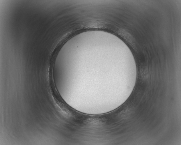 X0000071350534200606231206