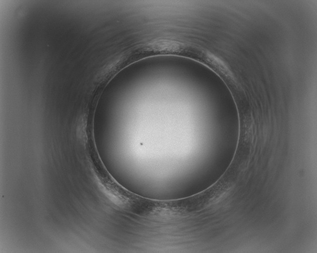 X0000071350538200606231206
